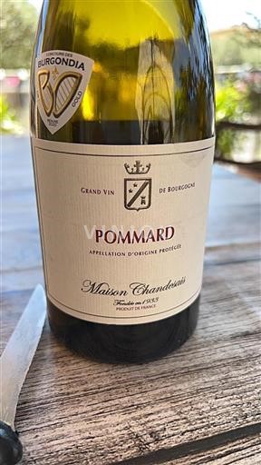 Bourgogne Pommard Maison Chanzy Non Millésimé
