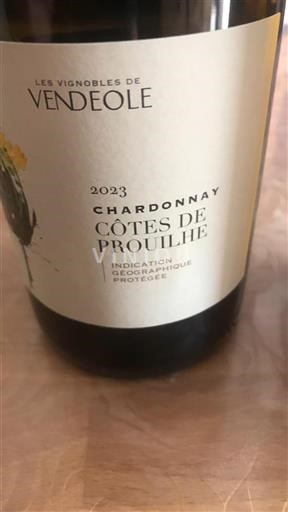 Linguadoca Non specificato Les Vignobles De Vendéole Chardonnay 2023