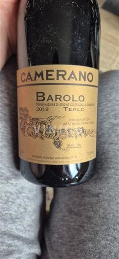 Piemonte Barolo Camerano Terlo 2019
