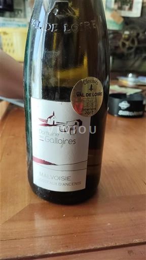 Loire Valley Coteaux d'Ancenis Domaine Des Galloires Malvoisie 2017
