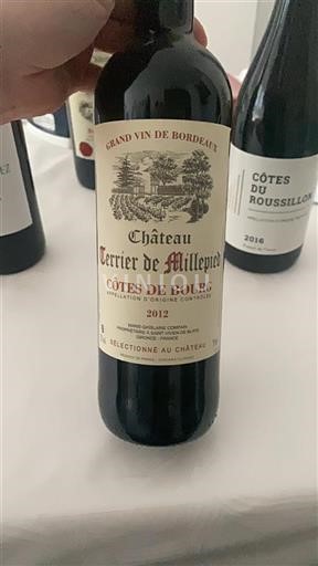 Bordeaux Côtes-de-bourg Château Terrier De Millépie 2012