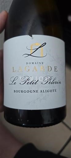 Bourgogne Bourgogne Aligoté Lagarde Le Petit Pèlerin 2022
