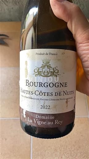 Bourgogne Hautes Côtes de nuits Domaine La Vigne Au Roy 2022