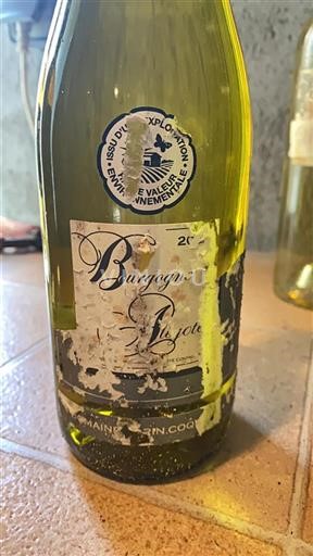 Bourgondië Bourgogne Aligoté Domaine Coquard 2021