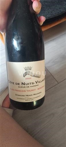 Vin Rouge sec Queue de Hareng Henri Magnien 2022 France Bourgogne Côte de nuits villages