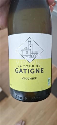 Linguadoca e Rossiglione Cévennes La Tour De Gatigne Viognier 2023