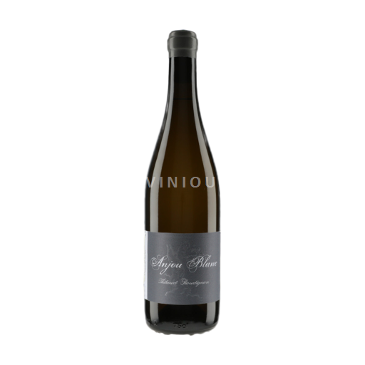Vallée de la Loire Anjou Anjou Thibaud Boudignon 2020