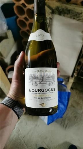 Vin Blanc sec Les Belles Roches 2023 France Bourgogne AOC
