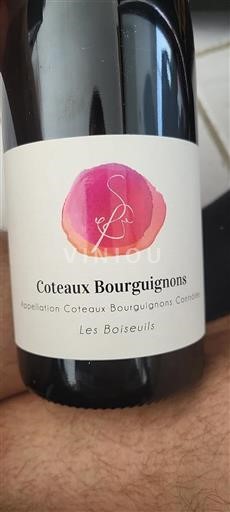Burgundy Coteaux Bourguignons Les Boiseuils Non-Vintage