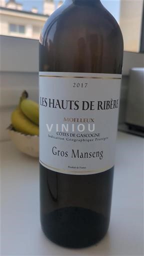 Südwestfrankreich Côtes de Gascogne Les Hauts De Ribère 2017