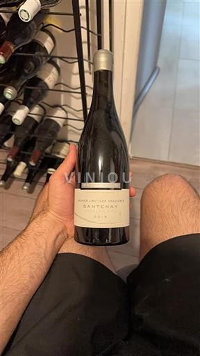 Borgogna Santenay Premier Cru Domaine Bruno Colin Les Gravi%c3%a8res 2015