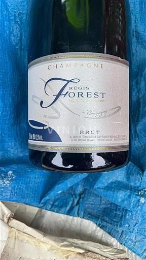 Champagne Champagner Régis Forest Ohne Jahrgang