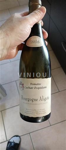 Burgundsko Bourgogne-aligoté Cachatocquidant 2016