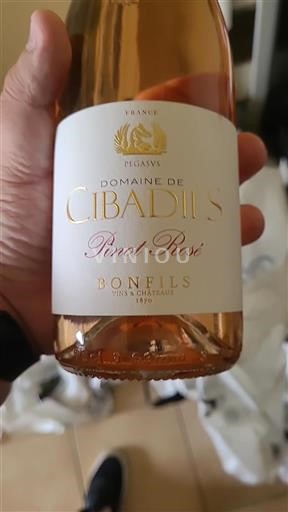 Languedoc Unspecified Domaine Cibadies Pinot Rosé 2022