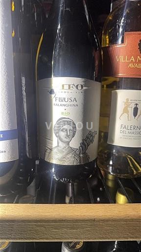 Campania Falanghina del Sannio Ileno Fluusa 2022