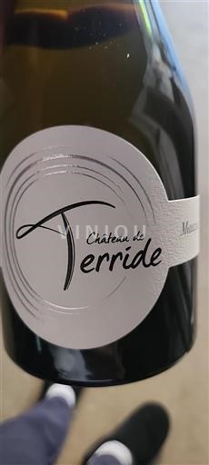 Sudoeste Não especificado Château Terride Não Sazonado