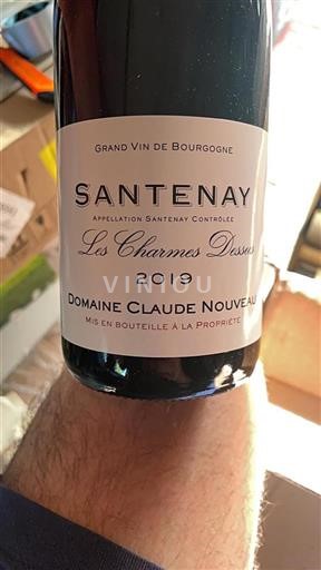 Borgogna Santenay Domaine Claude Nouveau Les Charmes Dessus 2019