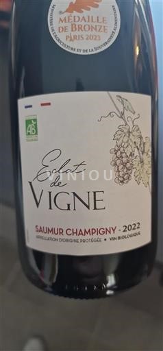 Vin Rouge sec Éclat de Vigne 2022 France Vallée de la Loire Saumur-champigny AOC