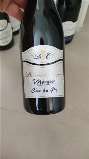 Beaujolais Morgon Domaine Chassagne Côte du Py 2022