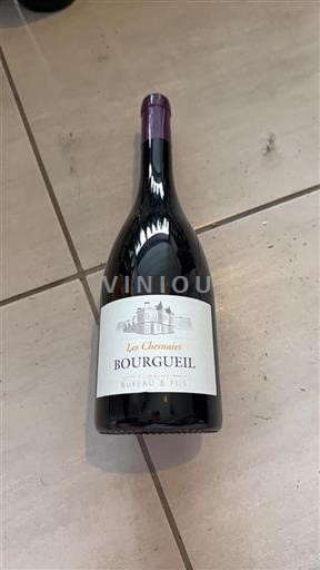 Valle del Loira Bourgueil Domaine Bureau & Fils Les Chesnaies Sin añada
