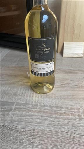 Jihozápad Côtes-de-montravel Colignac 2021