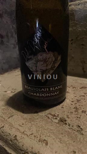 Beaujolais Ikke specificeret Domaine Richard Rottiers Ikke årgangsbestemt