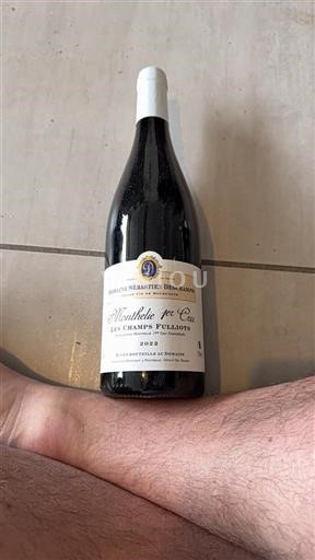 Bourgogne Ospecificerad Premier Cru Domaine Sébastien Deschamps Les Champs Fulliots 2022