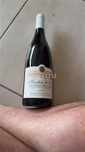 Bourgogne Ospecificerad Premier Cru Domaine Sébastien Deschamps Les Champs Fulliots 2017