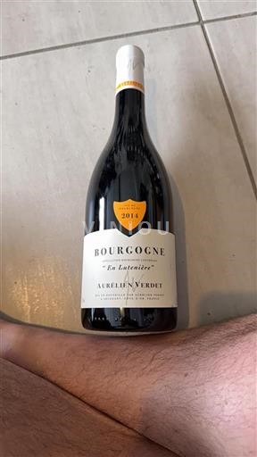 Burgundy Domaine Aurélien Verdet En Lutenière 2014