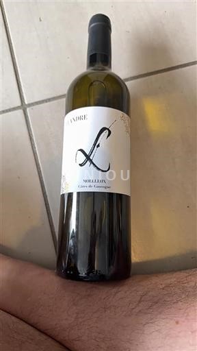 Vin Rouge sec Leandre Non millésimé France Sud-Ouest Côtes de Gascogne