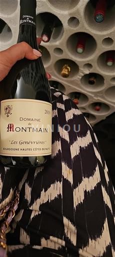 Borgoña No especificado Domaine Montmain Les Genévrières 2019