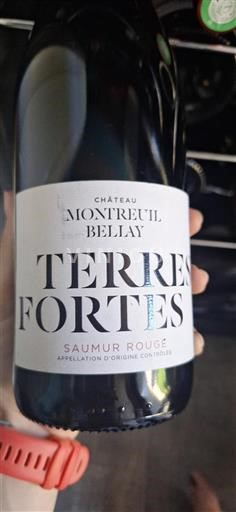 Vallée de la Loire Saumur Montreuil Bellay Terres Fortes 2021