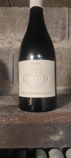 Rhônedalen Ospecificerad Via Caritatis Vox Angelorum Icke årgångsbetecknad