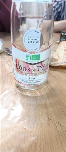 Lorraine Côtes de Toul Vincent Laroppe Gris 2024