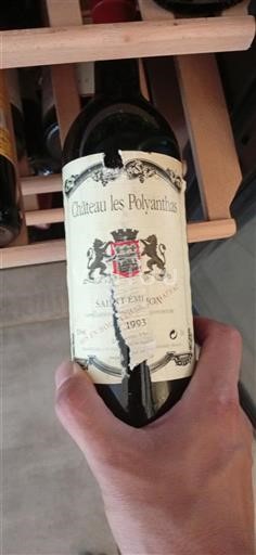 Bordeaux Saint-Émilion Grand Cru Château Les Polyanthas 1993