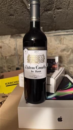 Bordeaux Cadillac-côtes-de-bordeaux Château Lamothe De Haux Première 2017