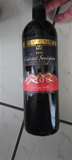 Valle di Colchagua Non specificato Alviña Cabernet Sauvignon 2002
