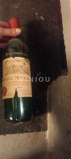 Bordeaux Montagne-saint-émilion Château Montaiguillon 1990