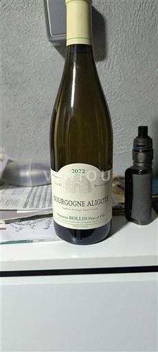 Bourgogne Bourgogne-aligoté Domaine Rollin Père Et Fils 2022
