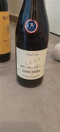 Vin Rouge sec Pinot Noir Michel Bedu 2022 France Vallée de la Loire Sancerre