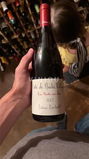 Borgogna Côte de Nuits Villages Antoine Lienhardt Les Plantes aux bois 2021
