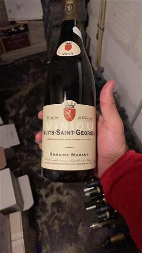 Bourgogne Nuits-saint-georges Domaine Nudant 2013