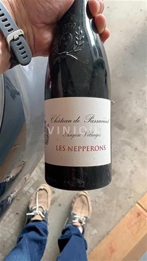 Valle del Loira Anjou Villages Château Passavant Les Nepperons 2010