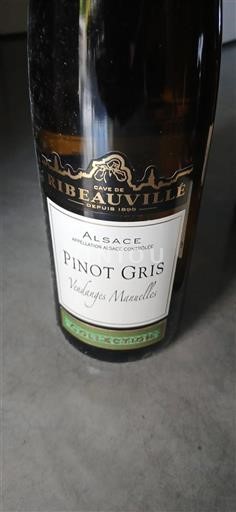 Alsazia Pinot grigio Cave De Ribeauvillé Vendanges Manuelles 2015