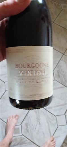 Burgundy Cave De Lugny Non-Vintage