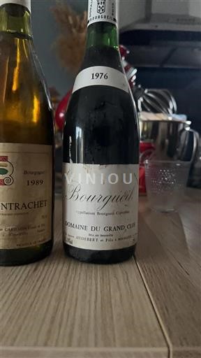 Loire-dalen Bourgueil Domaine Grand Clos 1976