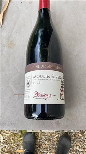 Beaujolais Moulin-à-vent Domaine Des Michelons 2022