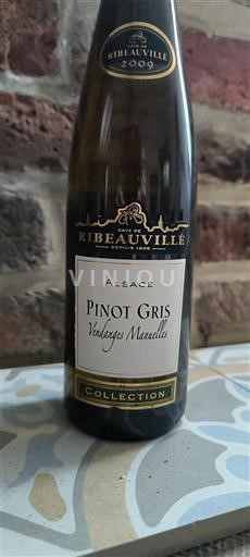 Elsass Cave De Ribeauvillé Vendanges Manuelles 2009