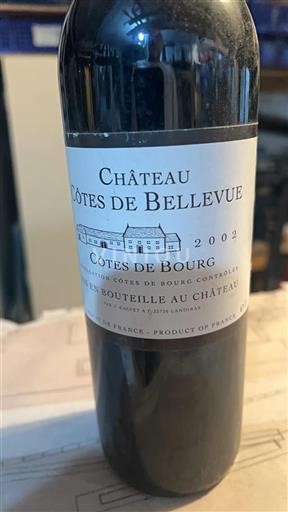 Bordeaux Côtes-de-bourg Château Côtes De Bellevue 2002