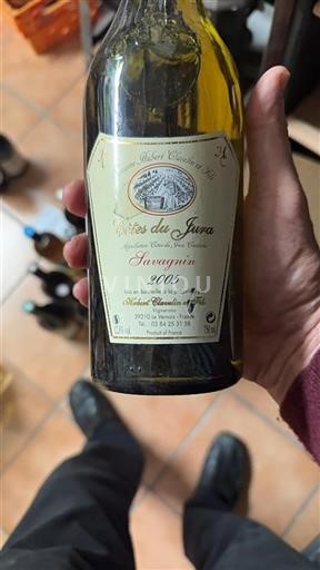 Jura Côtes du Jura Hubert Clavelin Et Fils Savagnin 2005